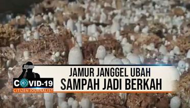 JAMUR JANGGEL, UBAH SAMPAH JADI BERKAH - CJ Covid-19