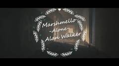 Marshmello - Alone (Alan Walker Video)