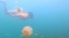 Amazing swimming with stingless jellyfish in Indonesia