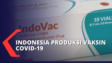Resmi! Indonesia Produksi Vaksin Covid-19 Sendiri!