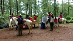 Rasakan Sensasi Berkuda di Hutan Pinus malino Kabupaten Gowa Sulawesi Selatan