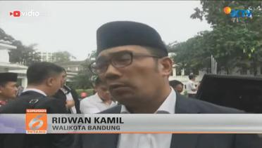 Gajah Yani Mati, Walikota Bandung Bereaksi Keras - Liputan 6 Petang