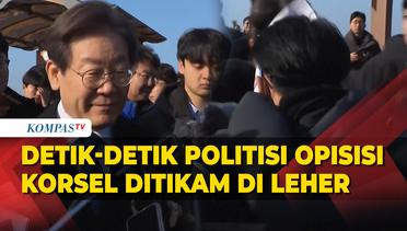Detik-Detik Politisi Oposisi Korea Selatan Lee Jae-myung Ditikam di Leher saat Kunjungi Busan