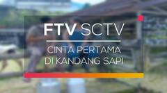 FTV SCTV - Cinta Pertama di Kandang Sapi