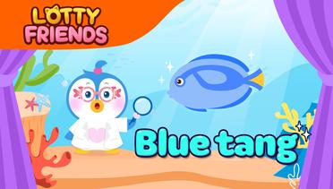 The Blue tang