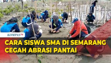 Cara Siswa SMA di Semarang Cegah Abrasi: Konsisten Tanam Mangrove di Pesisir