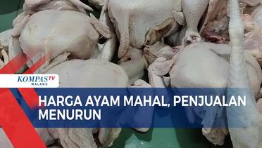 Harga Daging Ayam Masih Mahal, Penghasilan Pedagang Anjlok Hingga 50 %