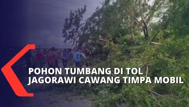 Pohon Tumbang di Tol Jagorawi Cawang Timpa Mobil Biro Perjalanan dari Bandung