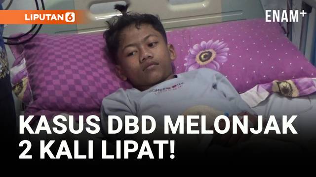 Waspada! Kasus DBD di Jakarta Barat Meningkat!