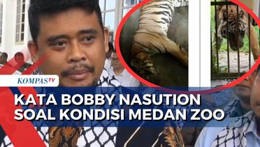 Wali Kota Medan, Bobby Nasution Angkat Bicara soal Kondisi Tempat dan Satwa di Medan Zoo