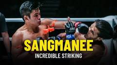 Sangmanee’s Incredible Striking | ONE Championship Highlights