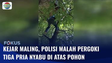 Pesta Narkoba di Atas Pohon, 3 Pria Ini Ditangkap Polisi yang Lagi Kejar Pencuri | Fokus