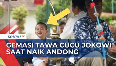 Naik Andong, Gemasnya Momen Presiden Jokowi Bermain bersama Cucunya!
