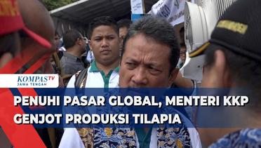Penuhi Pasar Global, Menteri KKP Genjot Produksi Tilapia