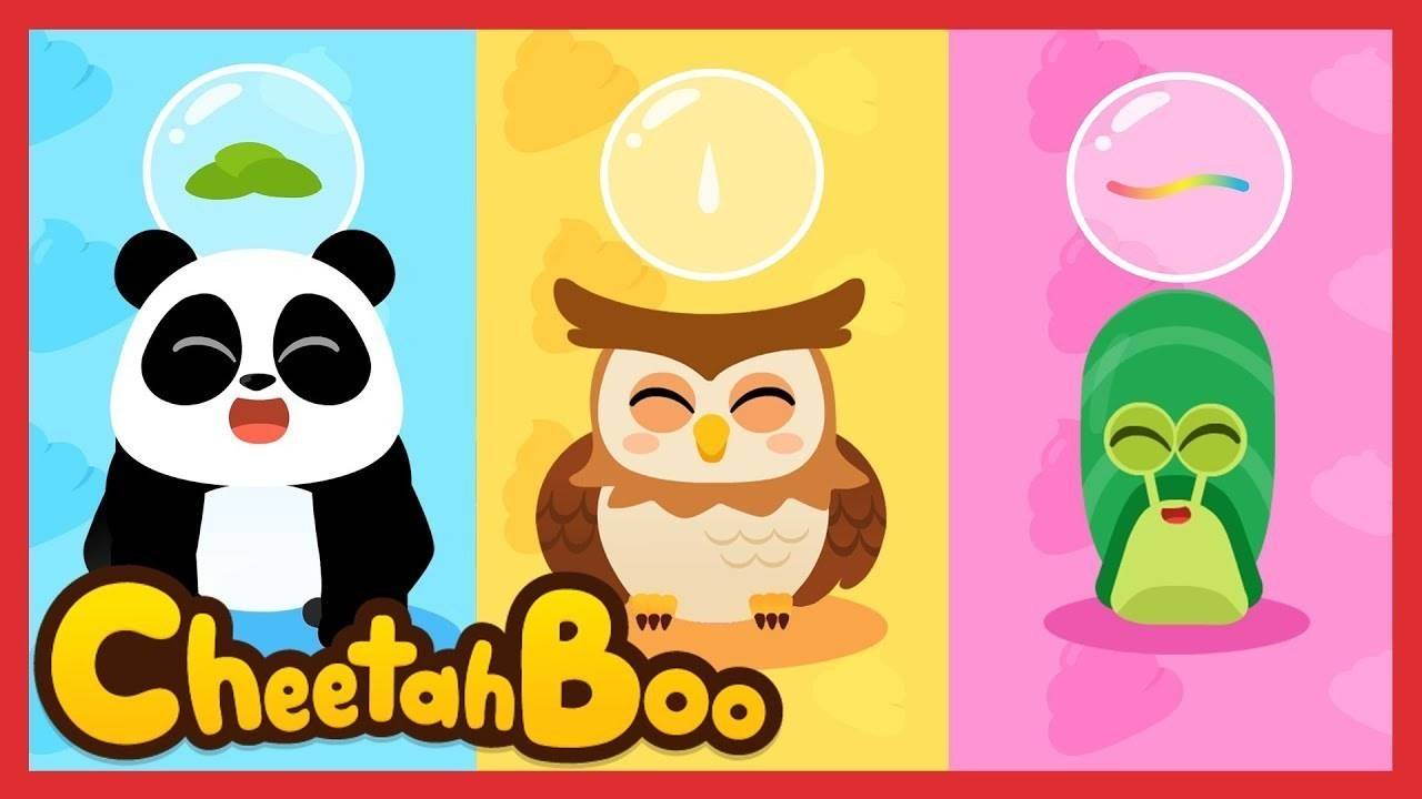Cheetahboo Animal Poo Songs Wow! Animals poo song and Fun and