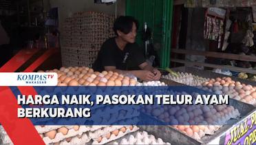 Pasokan Telur Ayam Berkurang, Ini Kisaran Harga Telur di Pasar..
