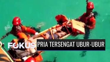Niat Berlibur, Wisatawan Ini Berakhir Dilarikan ke RS Usai Tersengat Ubur-ubur | Fokus