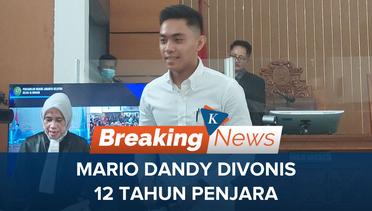 Tok! Mario Dandy Divonis 12 Tahun Penjara Atas Kasus Penganiayaan David Ozor