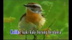 Ebiet G Ade - Sepucuk Surat Cinta (Karaoke Video)