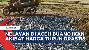 Sepi Pembeli dan Harga Turun Drastis, Nelayan di Aceh Terpaksa Buang Ikan Tangkapan