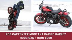 Rob Carpenter Montana raised Harley Hooligan 1WheelRevolution • ICON 1000