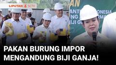 Titiek Soeharto Apresiasi Pemusnahan 983,5 Kg Pakan Burung Impor Mengandung Biji Ganja | Liputan 6