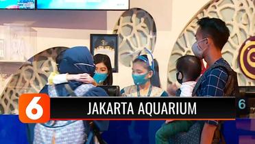 Kembali Buka, Jakarta Aquarium Mulai Ramai Dikunjungi