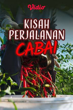 Kisah Perjalanan Cabai