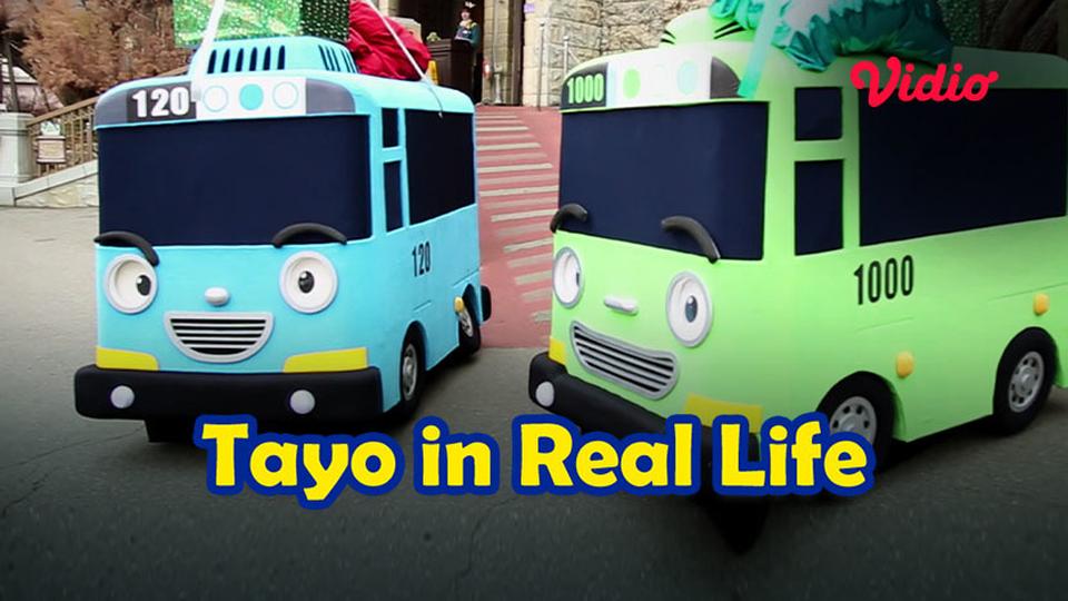Tayo in Real Life