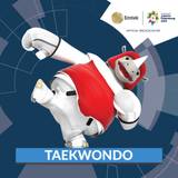 Taekwondo - Asian Games 2018