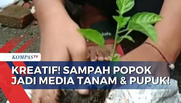 Kreatif! Perempuan Asal Banten Ini Olah Sampak Popok Bayi Jadi Media Tanam & Pupuk