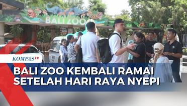 Usai Hari Raya Nyepi,  Bali Zoo Kembali Ramai Dikunjungi Wisatawan Asing dan Domestik