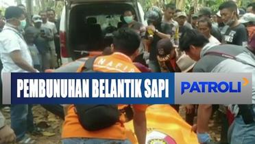 Jasad Seorang Belantik Sapi Ditemukan Terbenam Lumpur di Lampung - Patroli