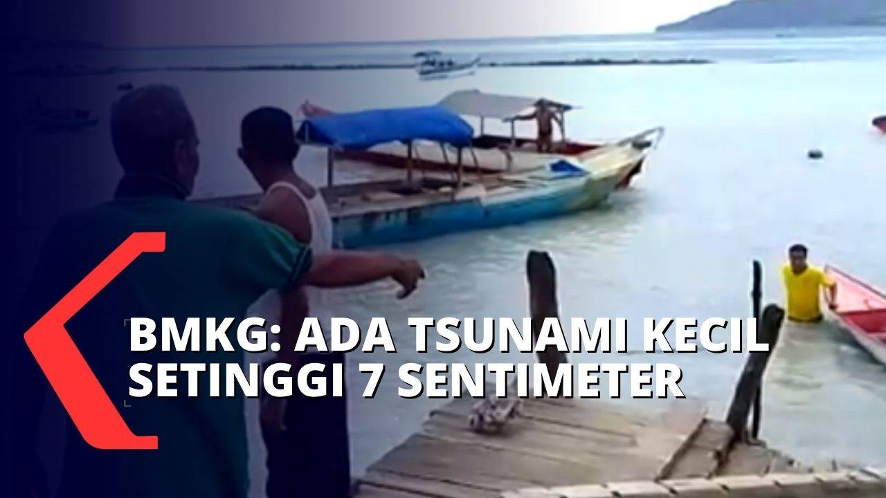 Mitigasi Bencana Gempa Tsunami Sesar Flores, Ahli Tsunami Sistem Early