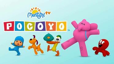 Pocoyo - 14 September 2024