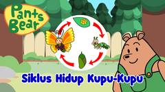 Siklus Hidup Kupu-Kupu