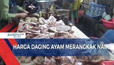 Jelang Ramadhan, Harga Daging Ayam di Malang Merangkak Naik