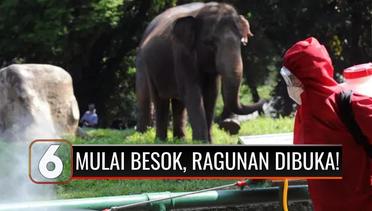 Taman Margasatwa Ragunan Kembali Buka, Anak di Bawah Usia 12 Tahun Boleh Berkunjung! | Liputan 6