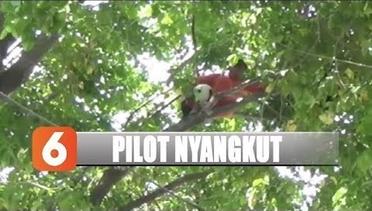 Mati Mesin, Pilot Paramotor Ini Nyangkut di Pohon - Liputan 6 Terkini