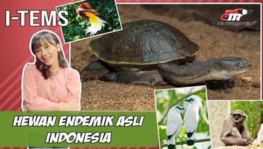 Hewan Endemik yang Hampir Punah di Indonesia Ini Ternyata Unik Banget! | I-Tems