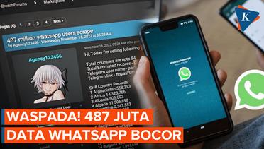 487 Juta Data WhatsApp Termasuk dari RI Diklaim Bocor
