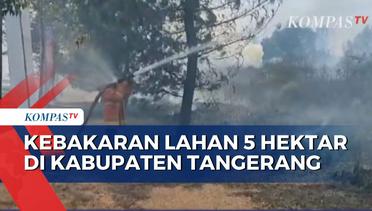 Lahan Jalur Sepeda Seluas 5 Hektar di Tangerang Terbakar, Damkar: Diduga dari Ilalang