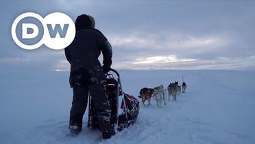 Sports Life - Balapan Kereta Luncur Anjing: Tantangan Arktik Norwegia