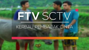 FTV SCTV - Kerbau Pembajak Cinta
