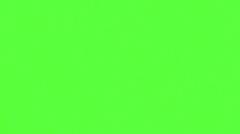 Animated Subscribe Button _ Green Screen Footage @1