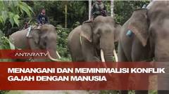 Menangani dan meminimalisasi konflik gajah dengan manusia