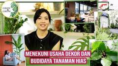 Peluang Bisnis Menguntungkan Dekor & Budidaya Tanaman Hias Bareng Grow and Grow | Entrepreneurship