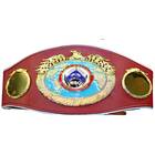WBO World Light Heavyweight Championship