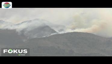 100 Hektar Lereng Gunung Merbabu Kebakaran - Fokus Pagi