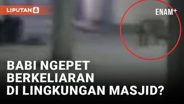 Heboh! Makhluk Diduga Babi Ngepet Melintas di Depan Masjid di Bekasi